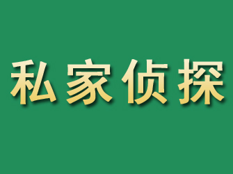 江城市私家正规侦探