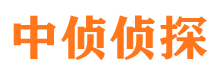 江城市婚外情调查